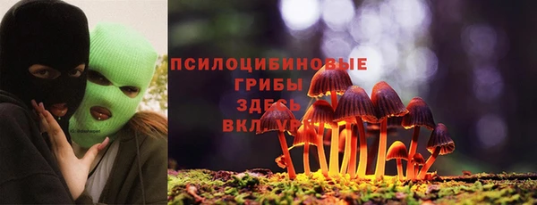 PSILOCYBIN Балабаново